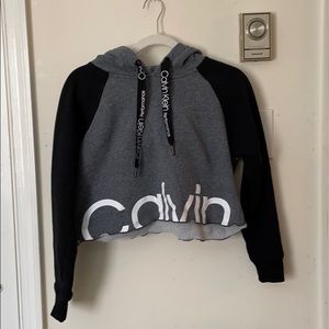 ✨SOLD Calvin Klein Performance Color Block Crop Ho